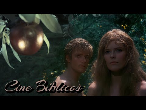 Ep 13
